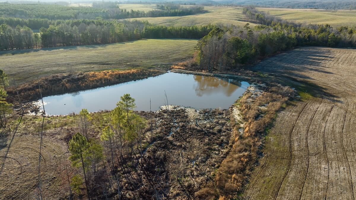 Land Management: Pond Management Tips and Tactics Featured Image